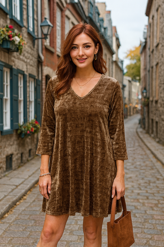 Mocha Velvet Dress